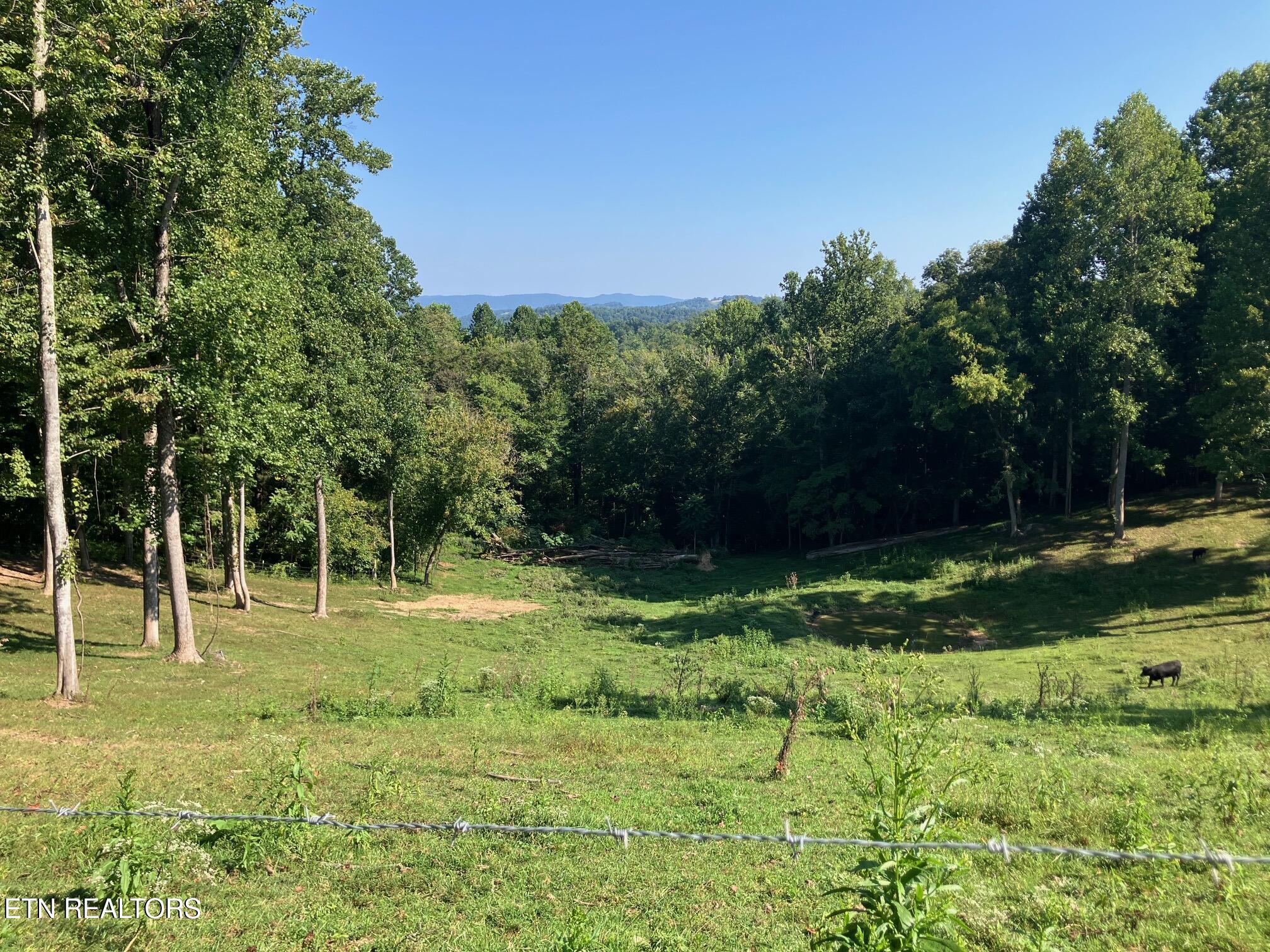 Locust Grove Road New Tazewell TN 37825
