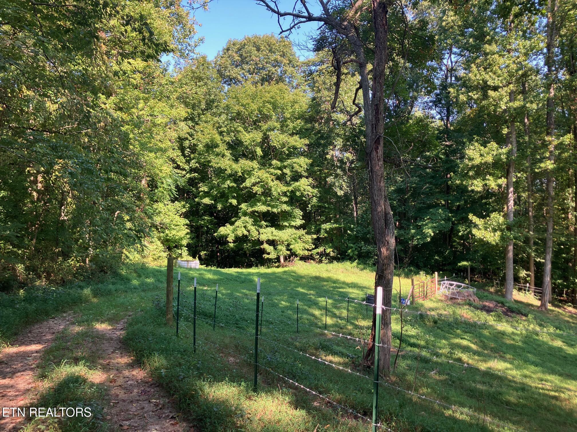 Locust Grove Road New Tazewell TN 37825