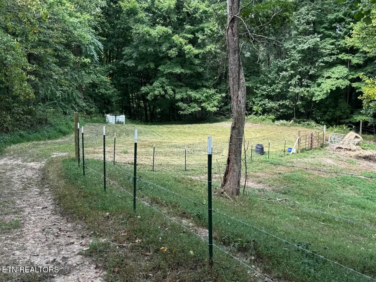 Locust Grove Road New Tazewell TN 37825