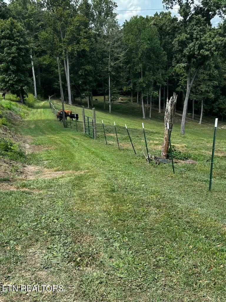 Locust Grove Road New Tazewell TN 37825