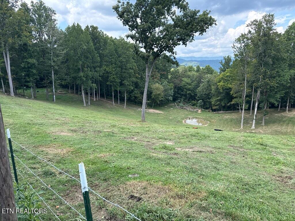 Locust Grove Road New Tazewell TN 37825
