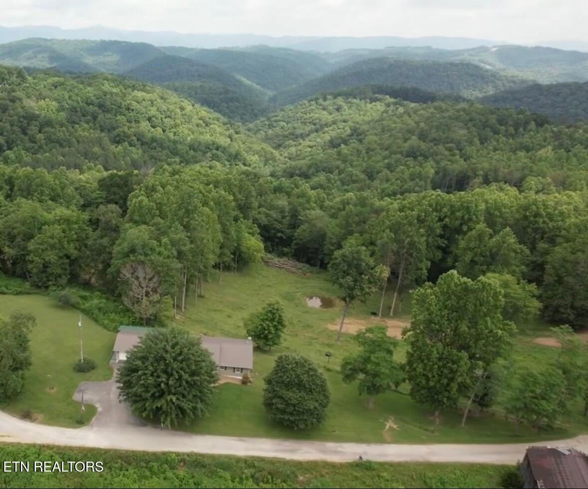 Locust Grove Road New Tazewell TN 37825
