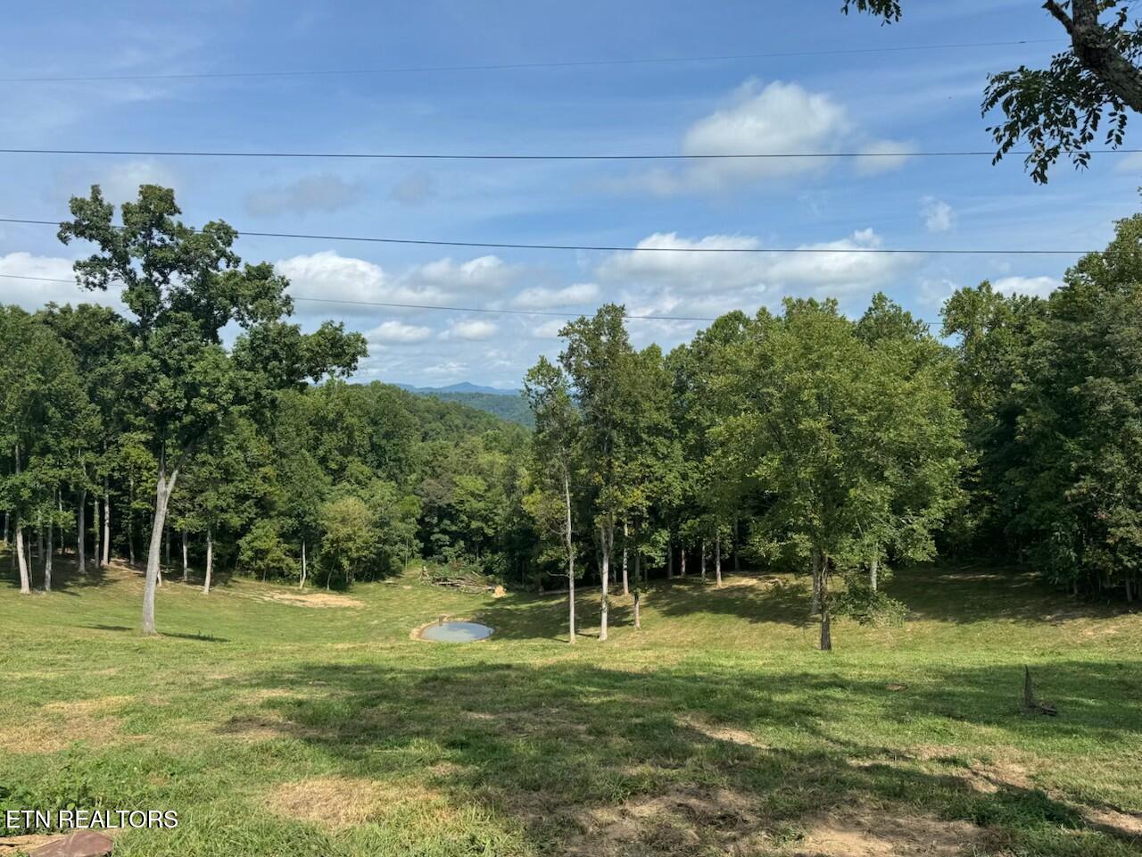Locust Grove Road New Tazewell TN 37825