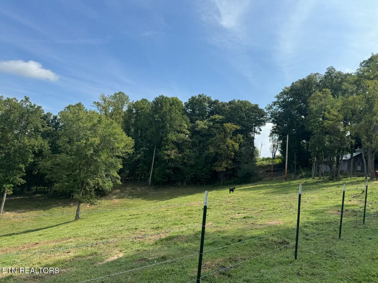 Locust Grove Road New Tazewell TN 37825