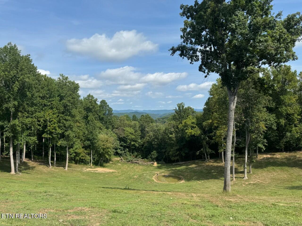 Locust Grove Road New Tazewell TN 37825