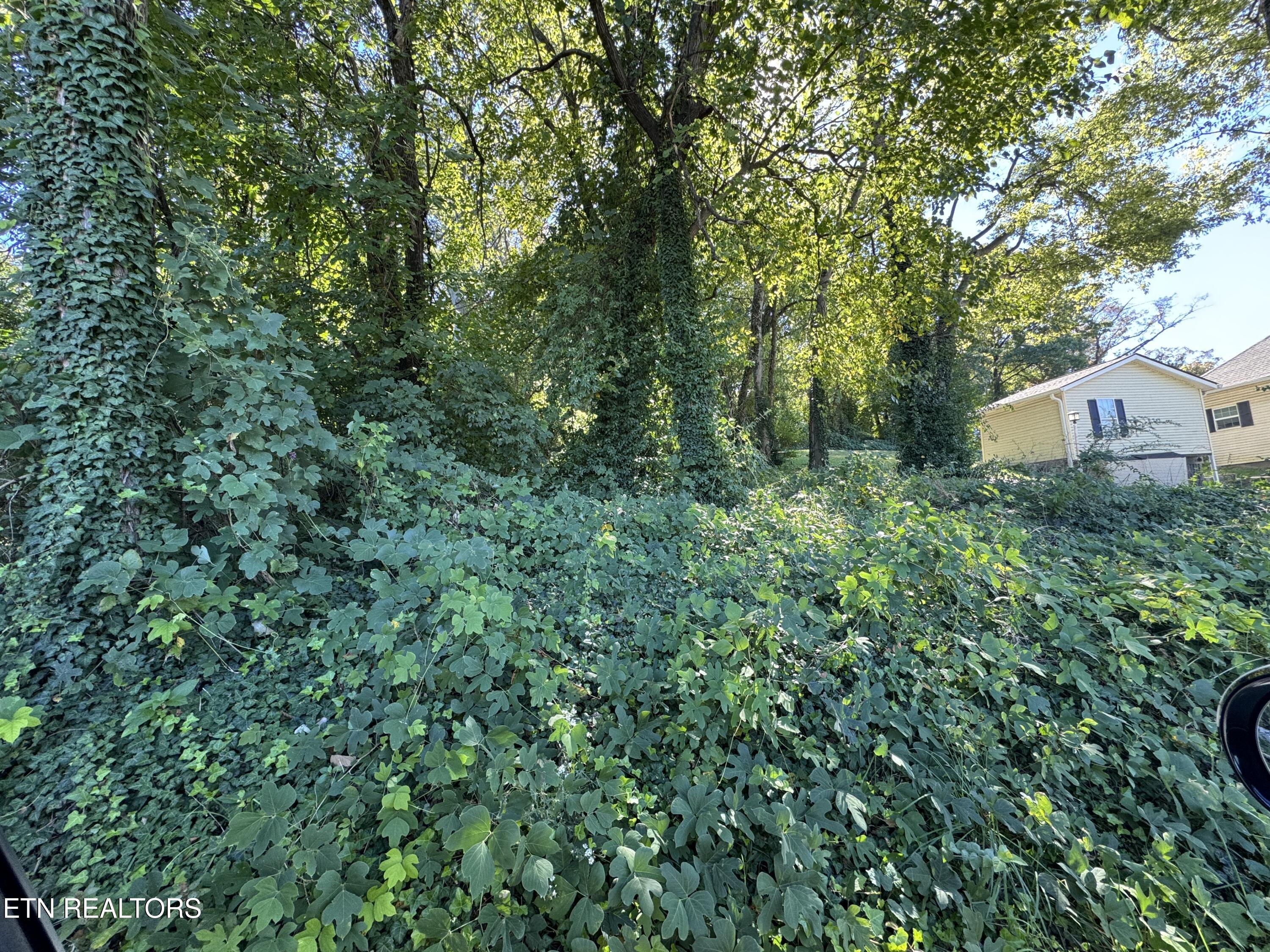 0 Massachusetts Avenue Knoxville TN 37921