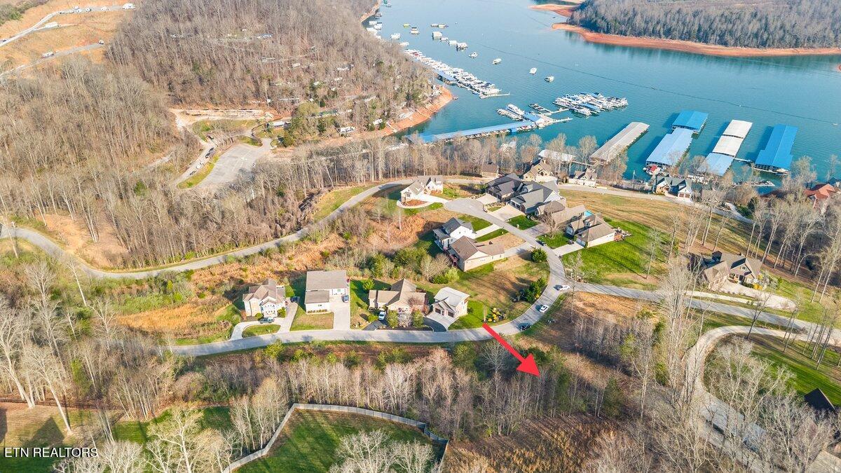 Anchor Lot 25 Lane Andersonville TN 37705