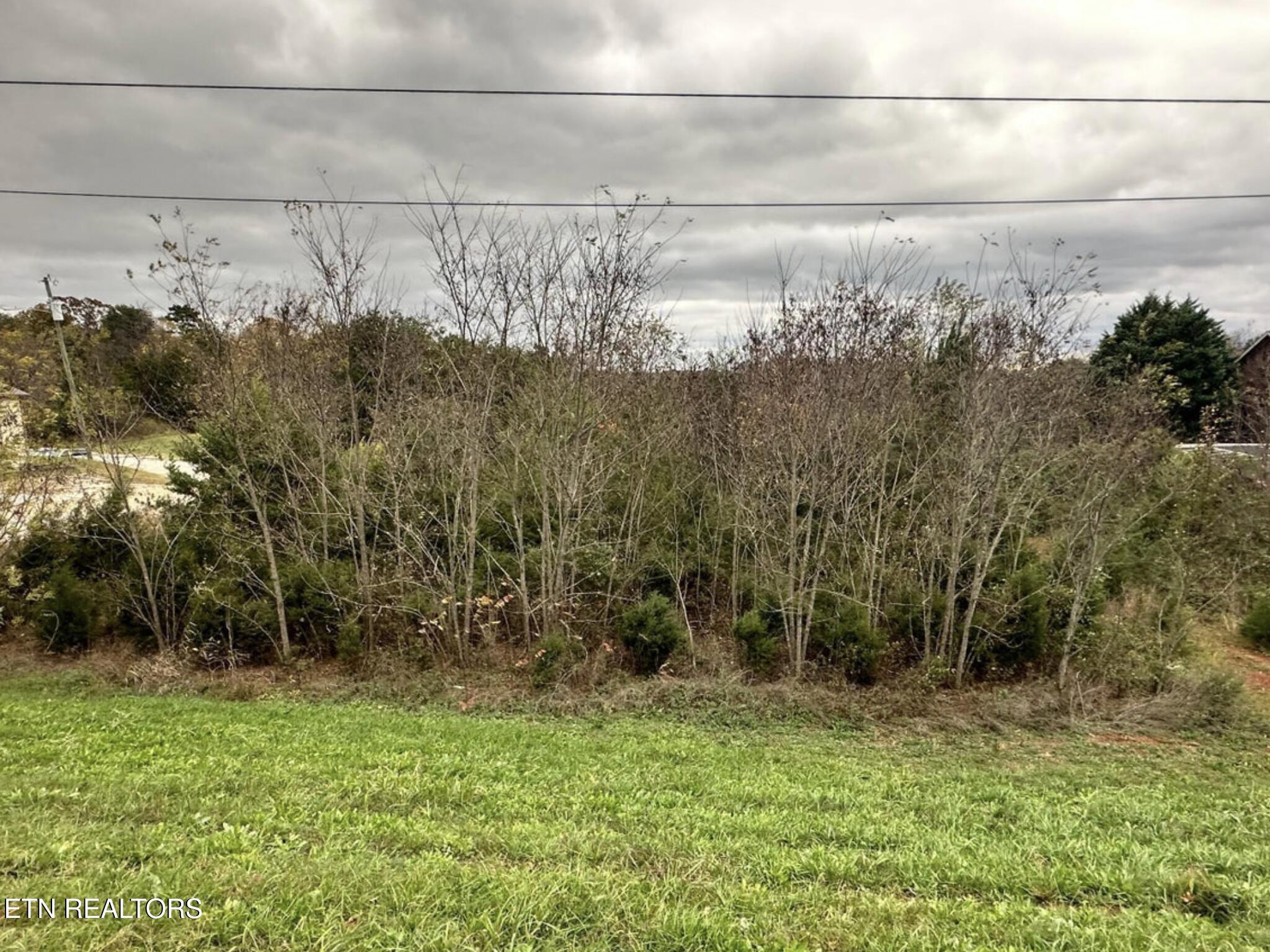 +-1.37 Ac Highway 92 Dandridge TN 37725