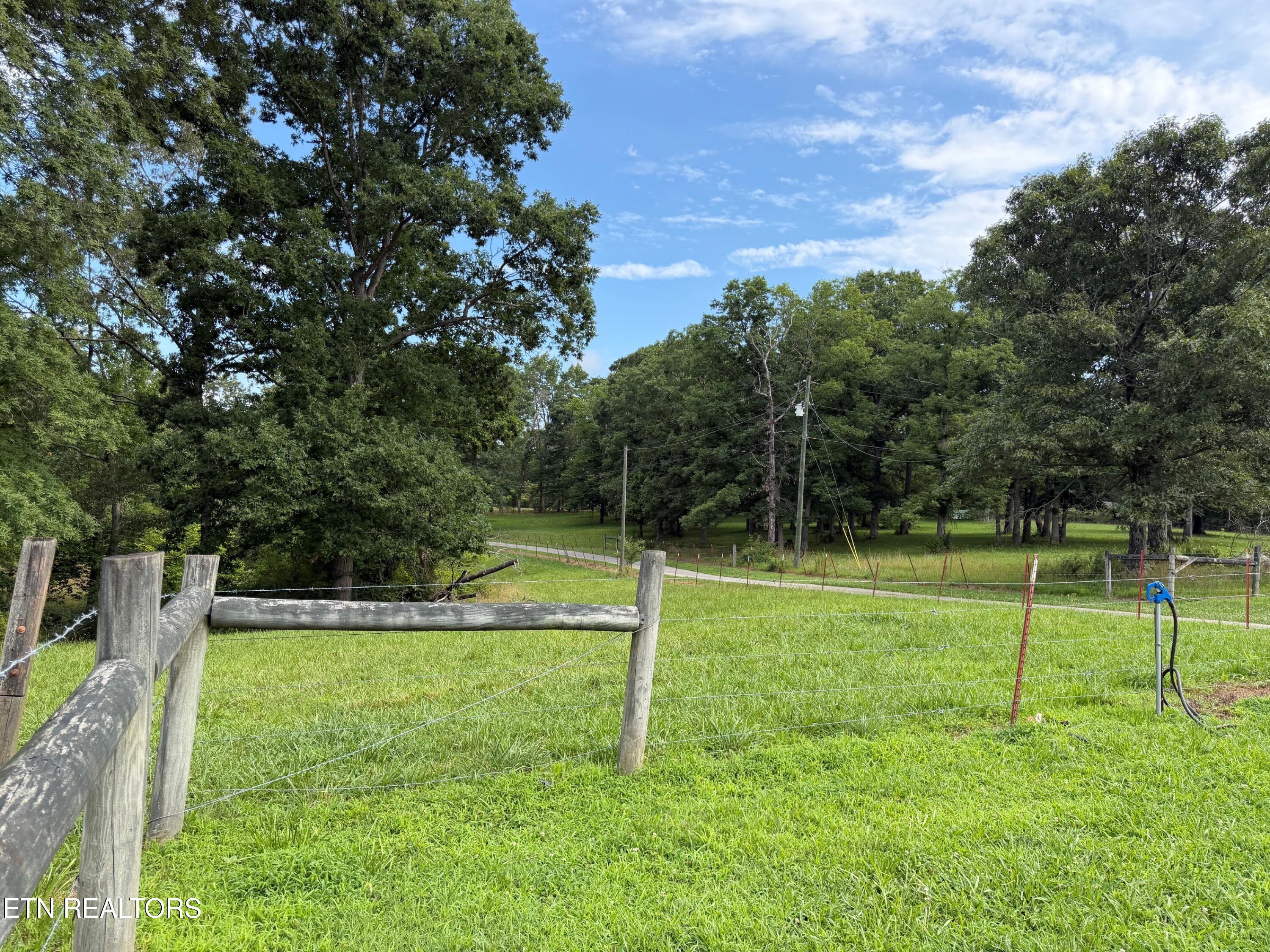 1041 Walt Reed Road Grandview TN 37337