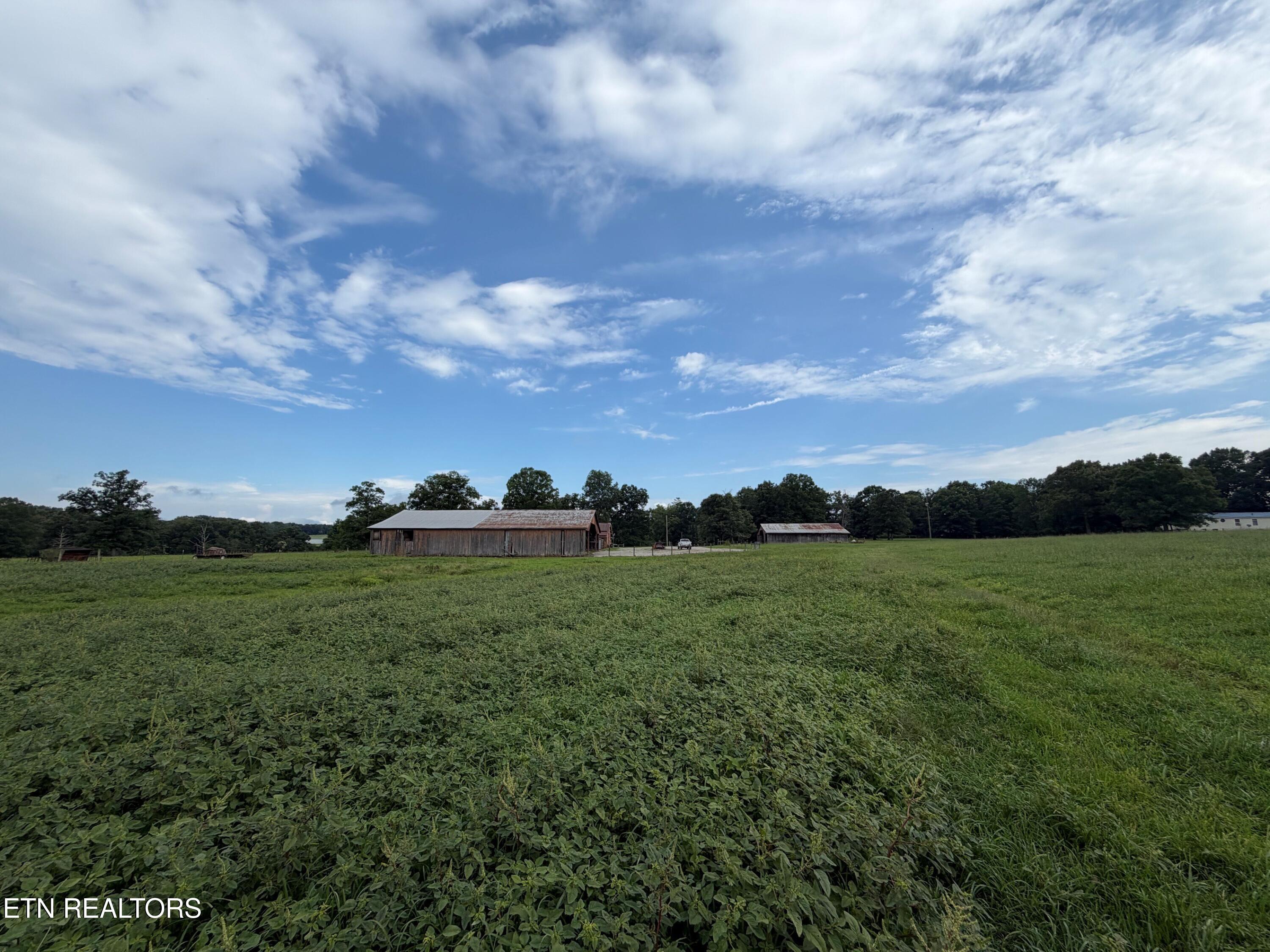 1041 Walt Reed Road Grandview TN 37337