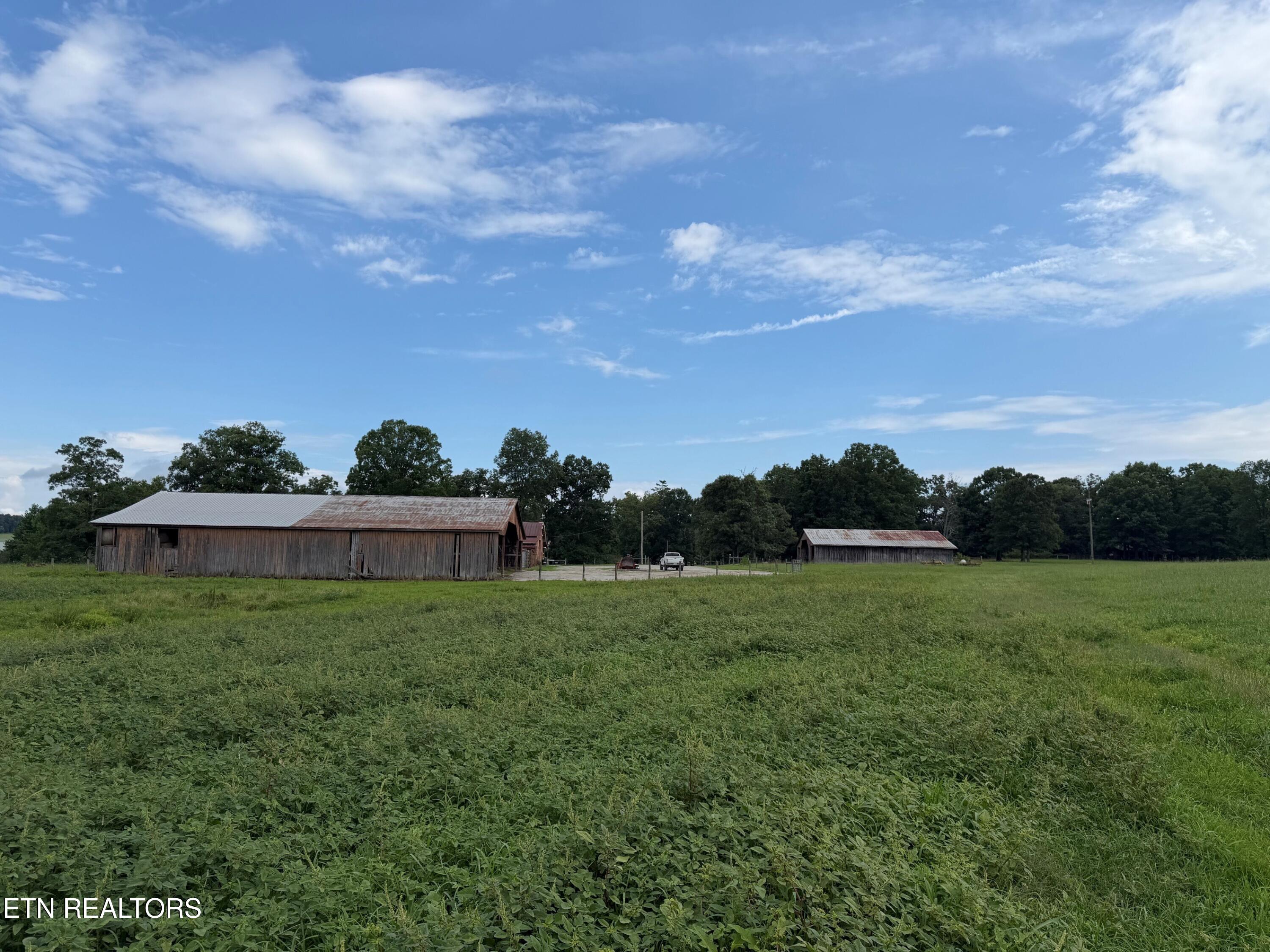 1041 Walt Reed Road Grandview TN 37337
