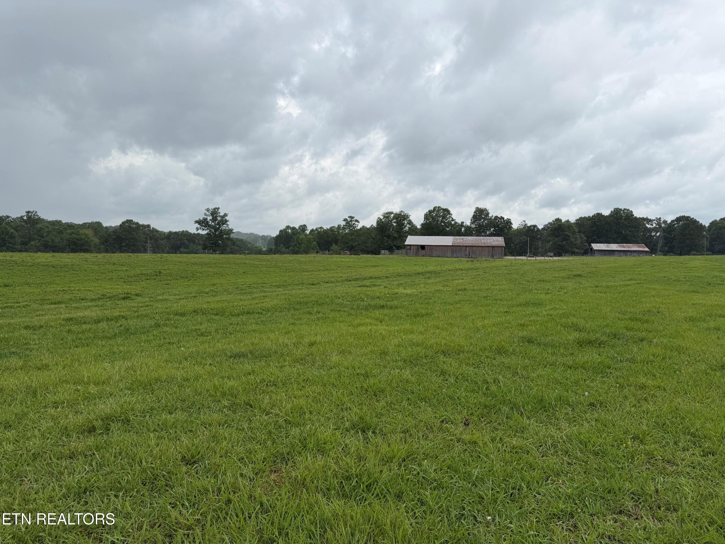 1041 Walt Reed Road Grandview TN 37337