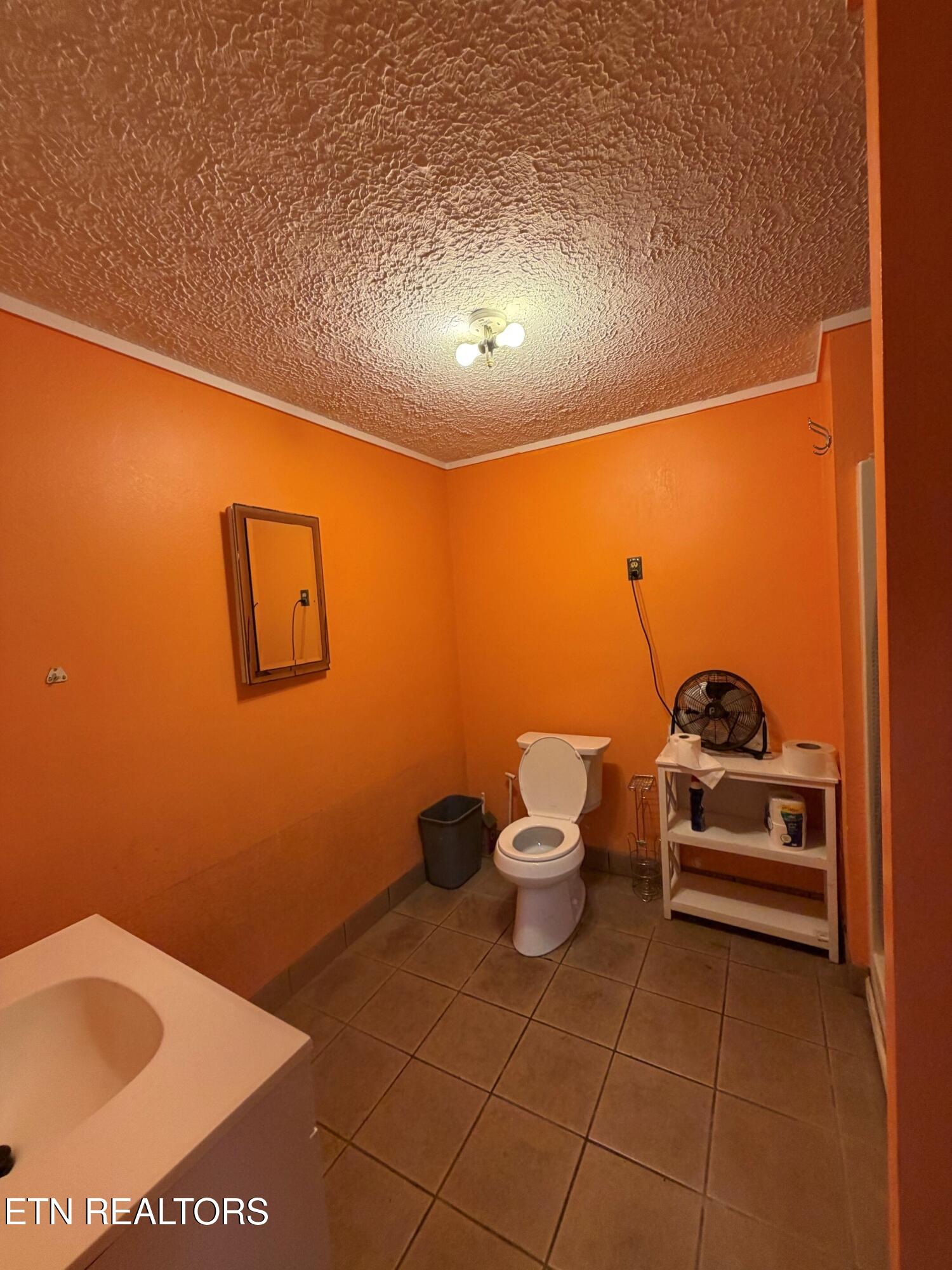 1041 Walt Reed Road Grandview TN 37337