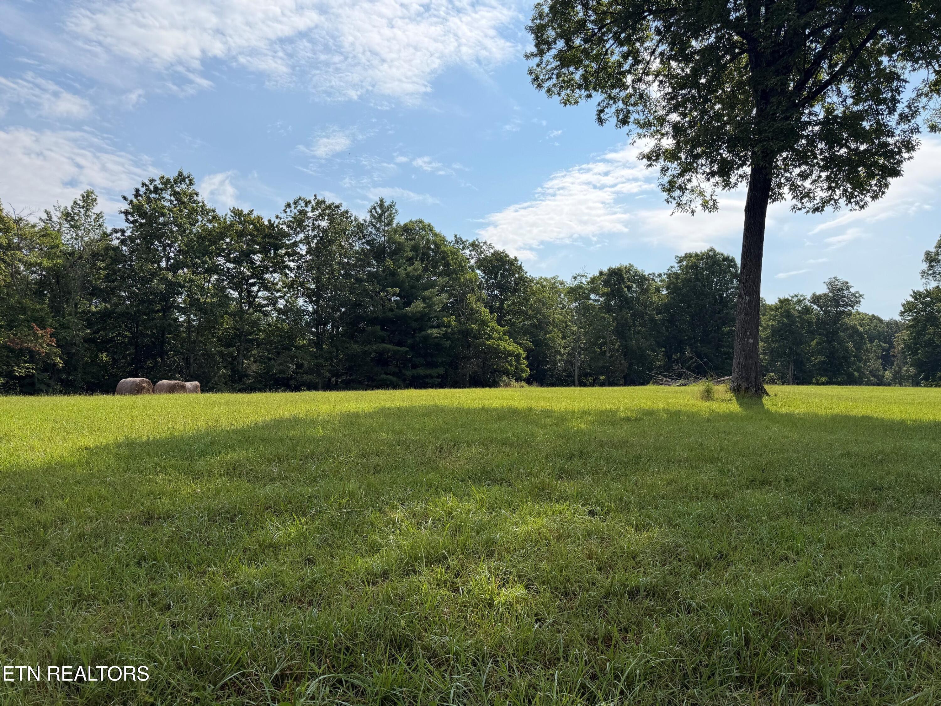 1041 Walt Reed Road Grandview TN 37337