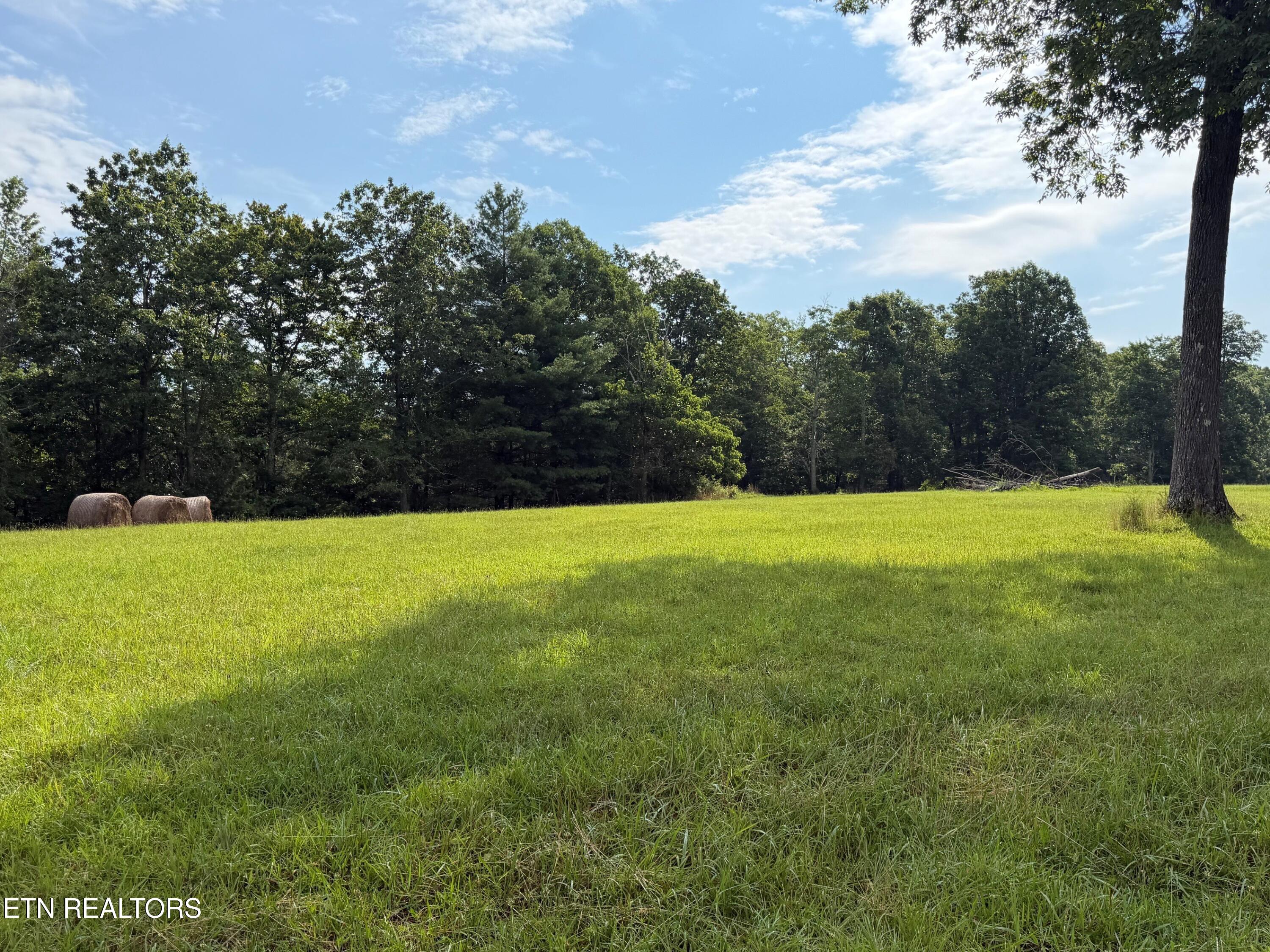 1041 Walt Reed Road Grandview TN 37337