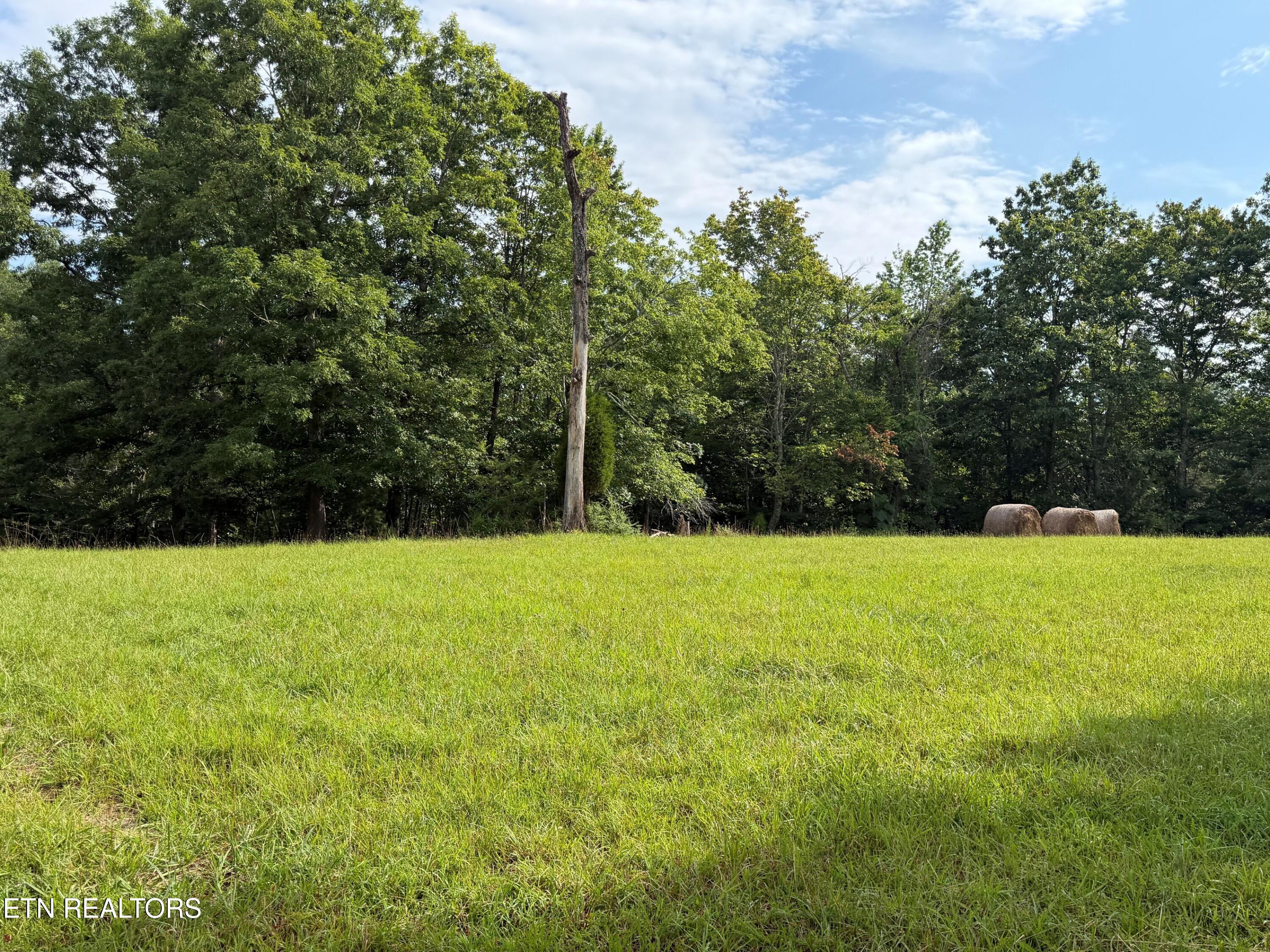 1041 Walt Reed Road Grandview TN 37337