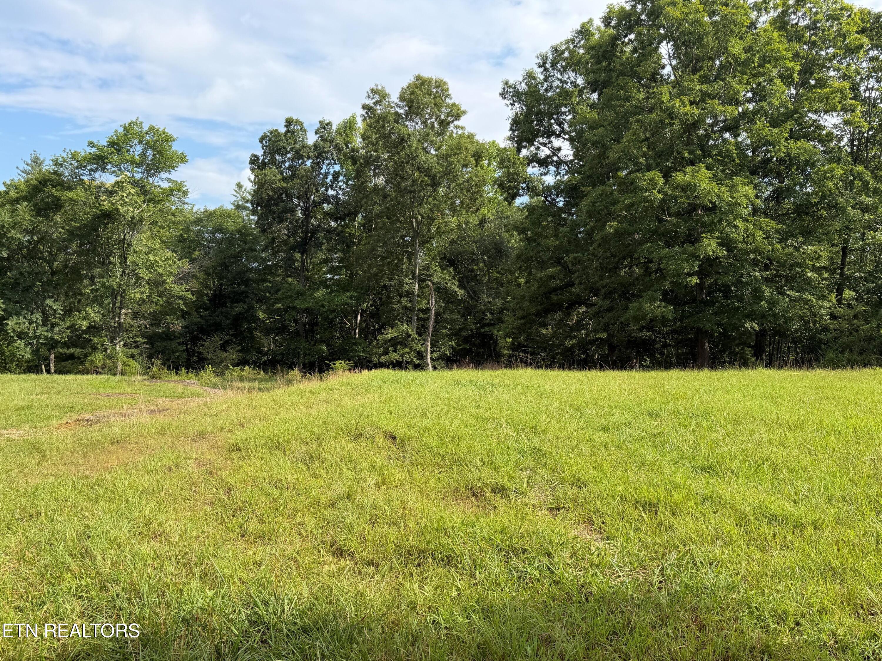 1041 Walt Reed Road Grandview TN 37337