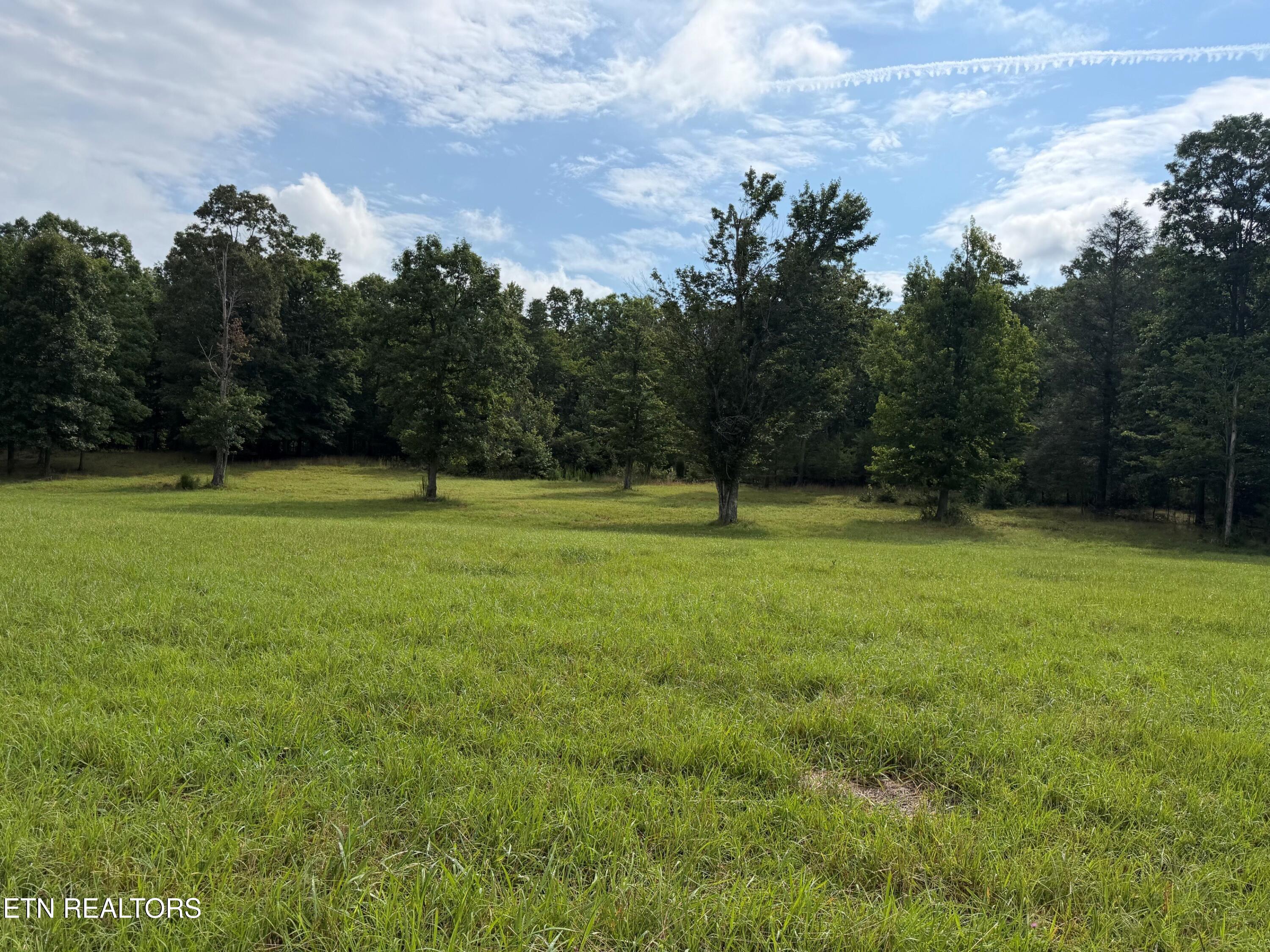 1041 Walt Reed Road Grandview TN 37337