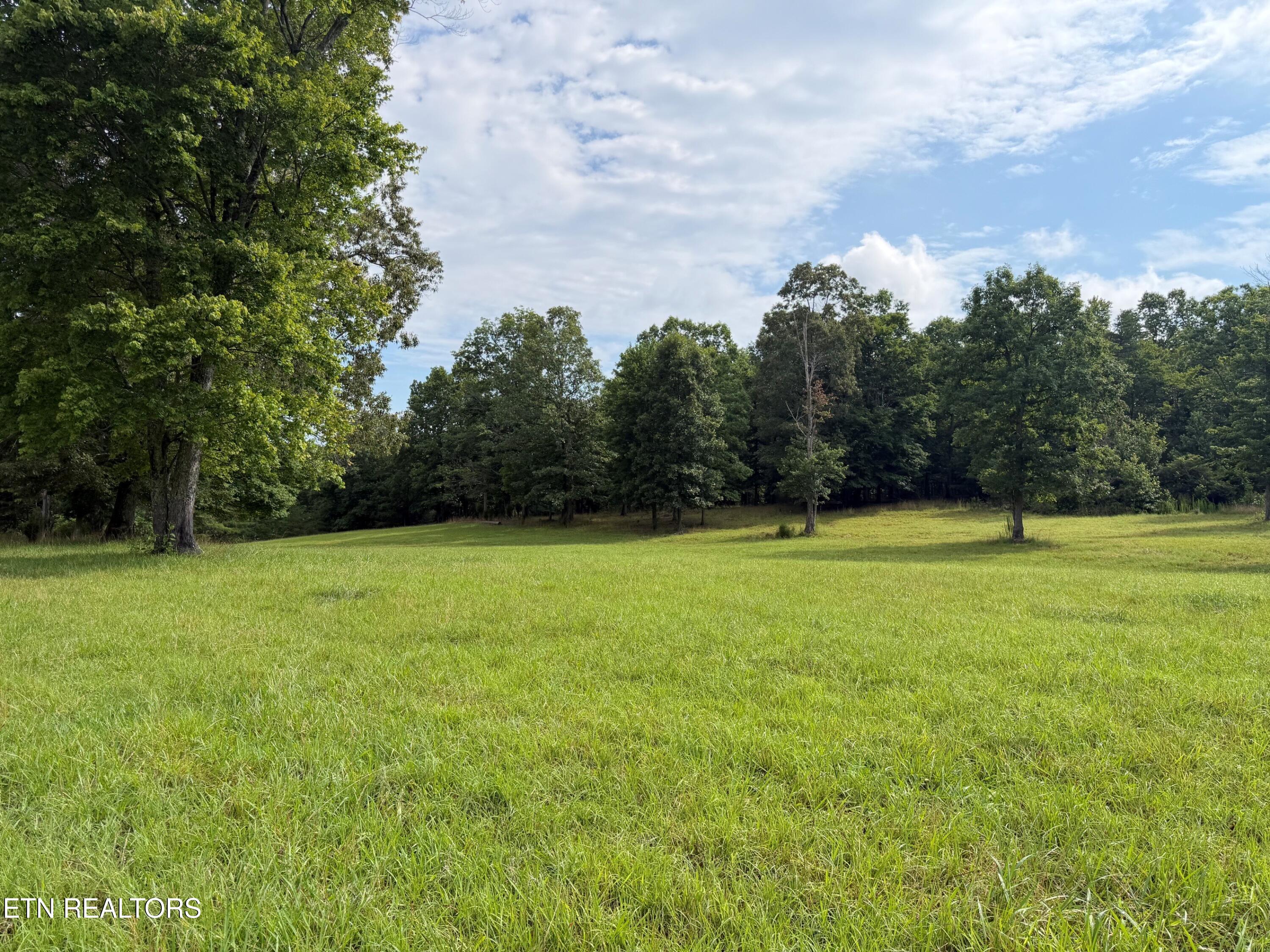 1041 Walt Reed Road Grandview TN 37337