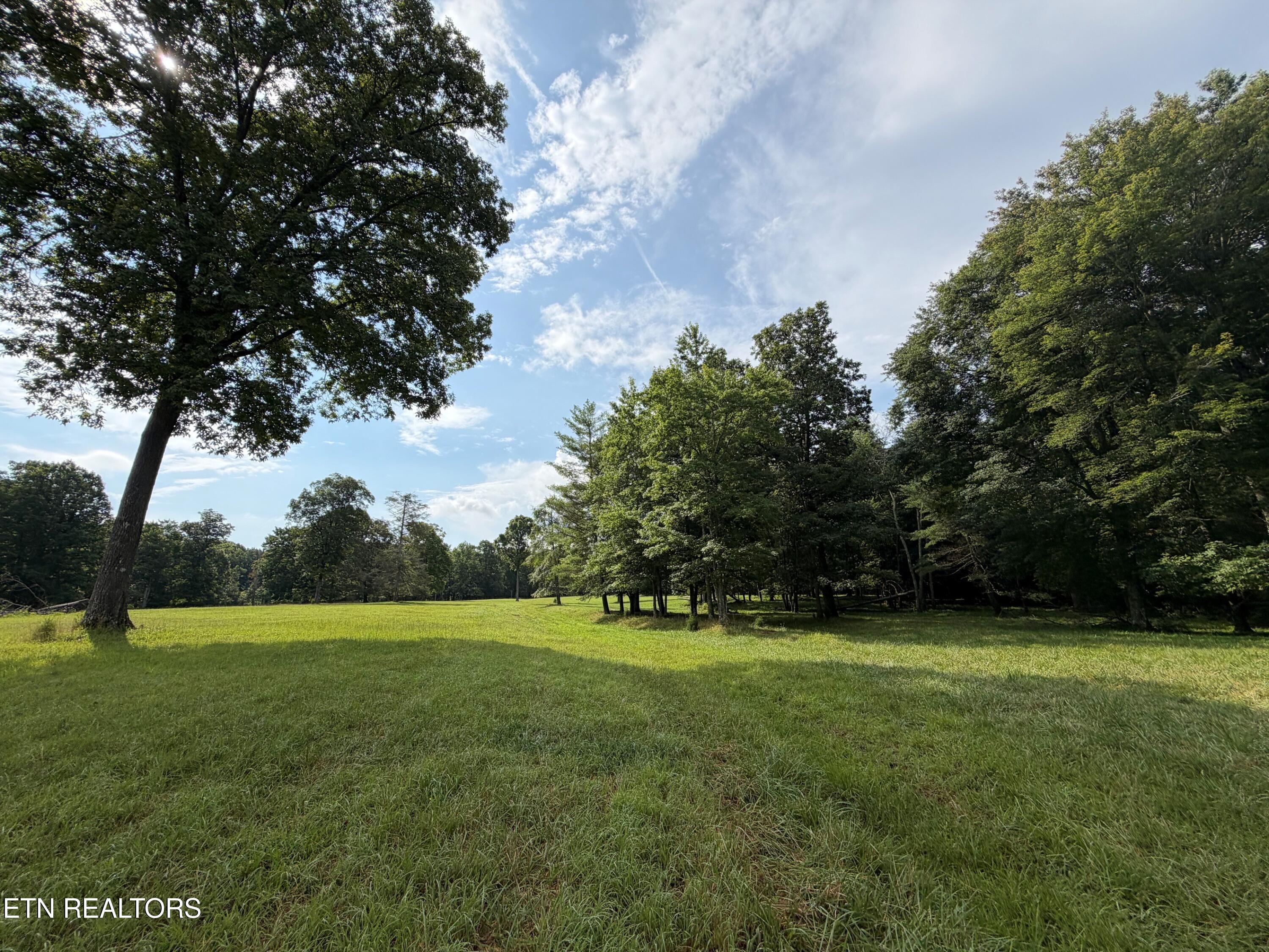 1041 Walt Reed Road Grandview TN 37337