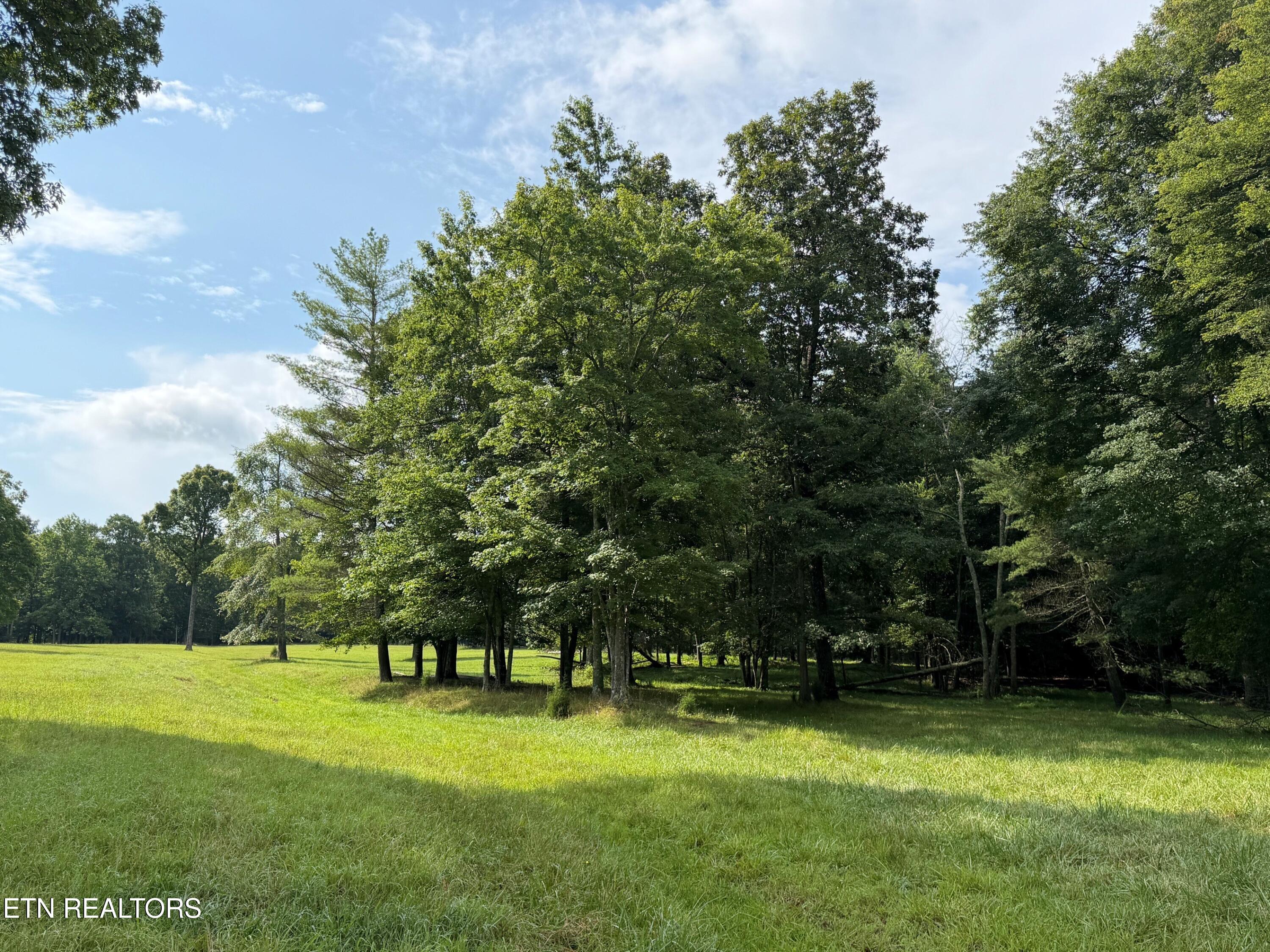 1041 Walt Reed Road Grandview TN 37337