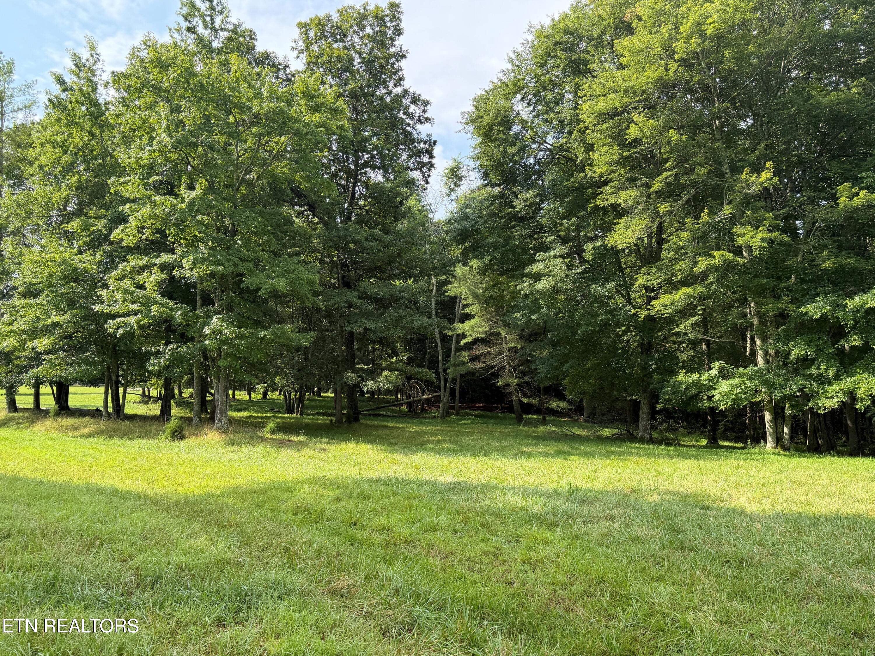 1041 Walt Reed Road Grandview TN 37337