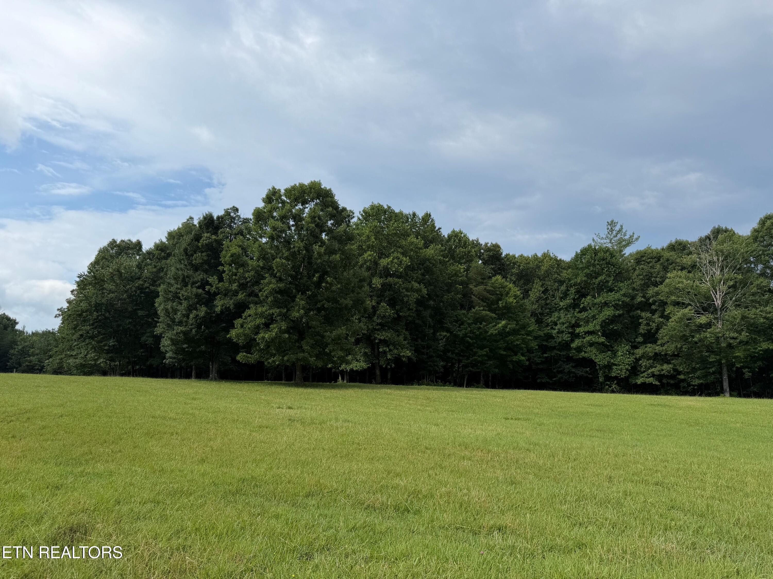 1041 Walt Reed Road Grandview TN 37337