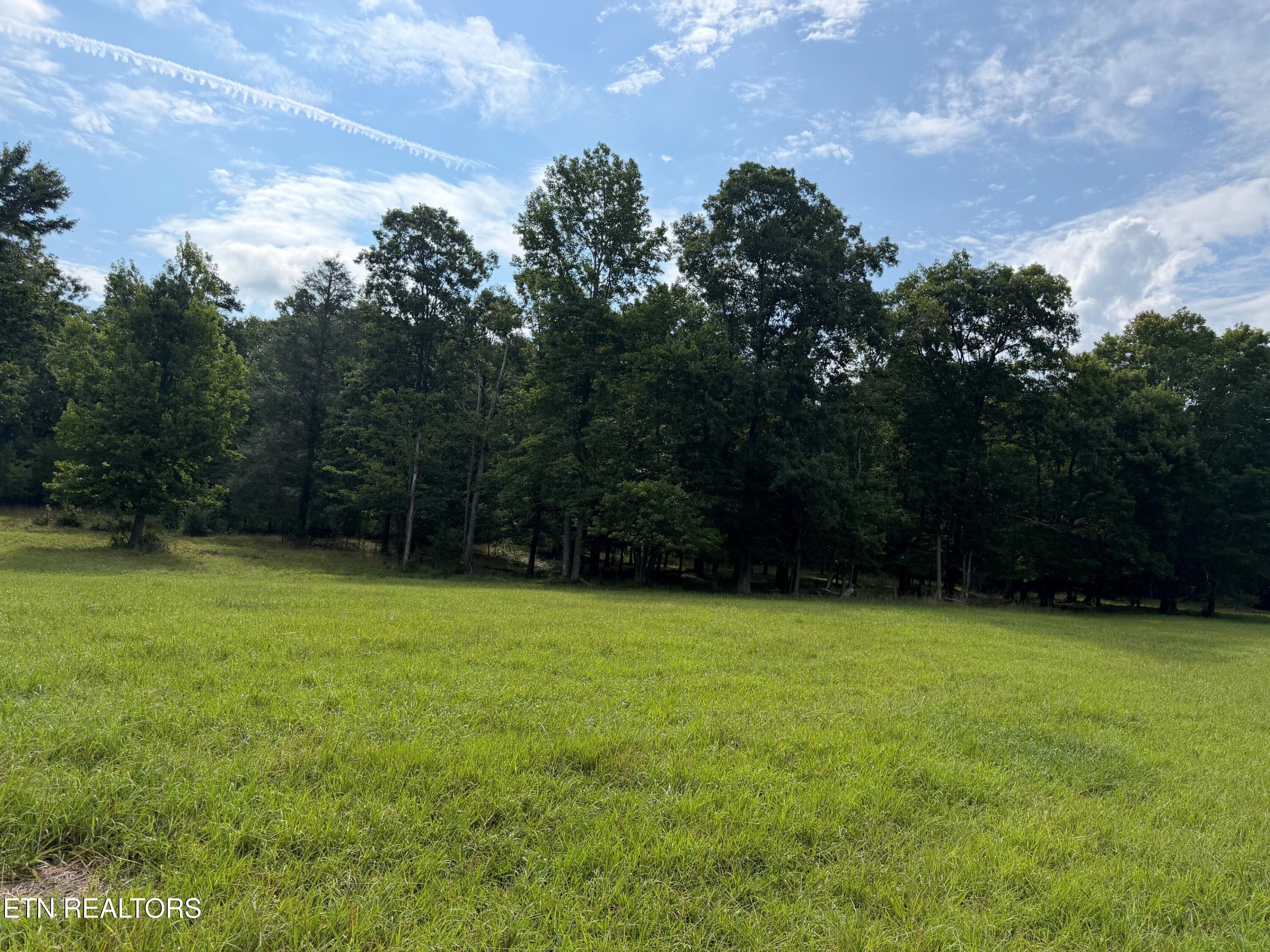 1041 Walt Reed Road Grandview TN 37337