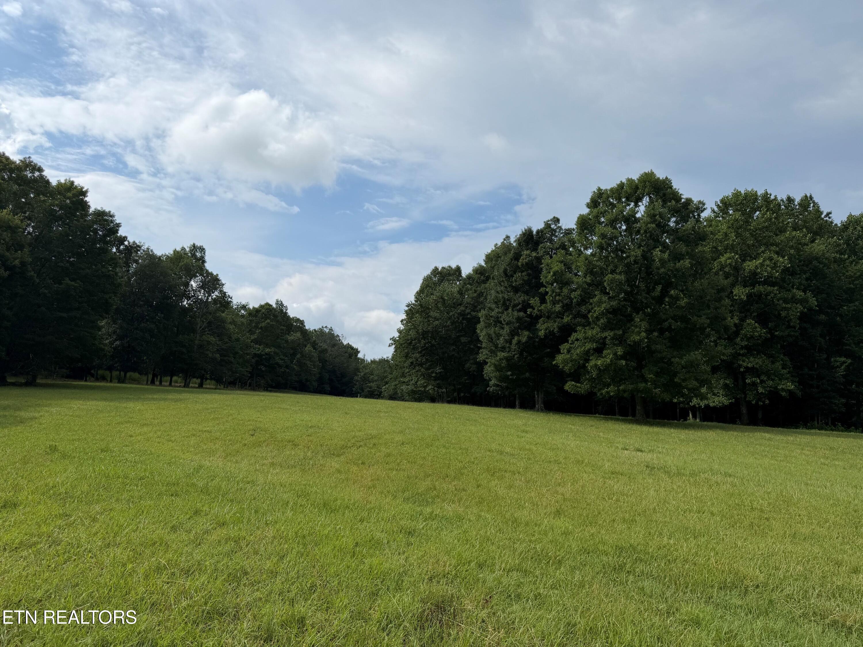 1041 Walt Reed Road Grandview TN 37337