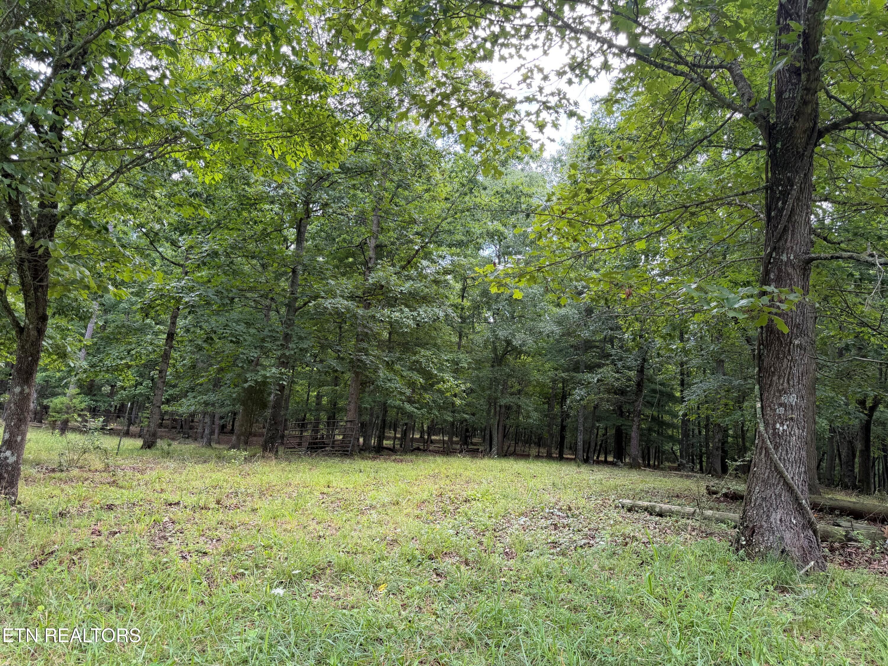 1041 Walt Reed Road Grandview TN 37337