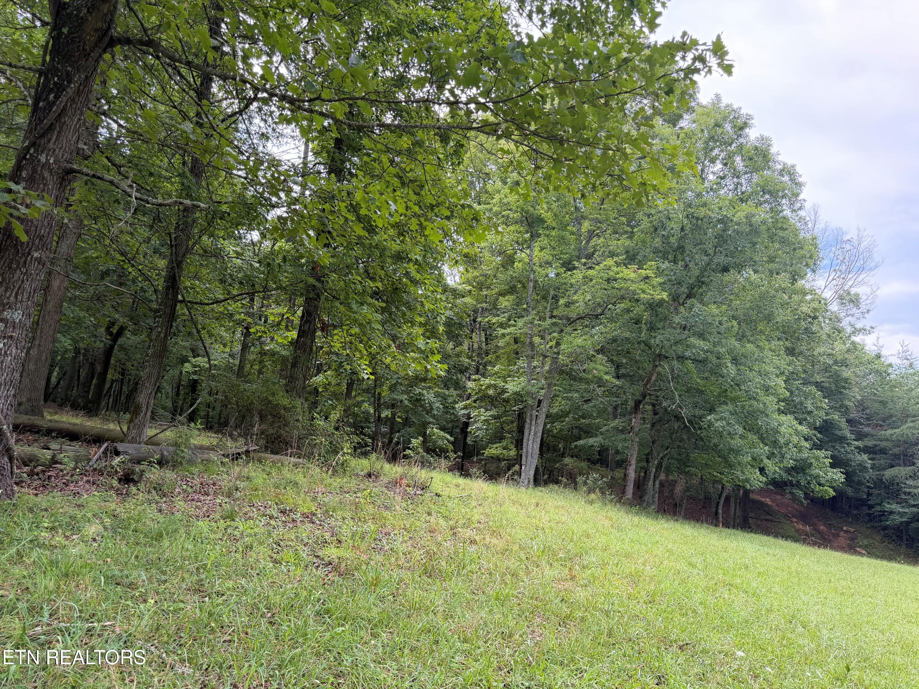 1041 Walt Reed Road Grandview TN 37337