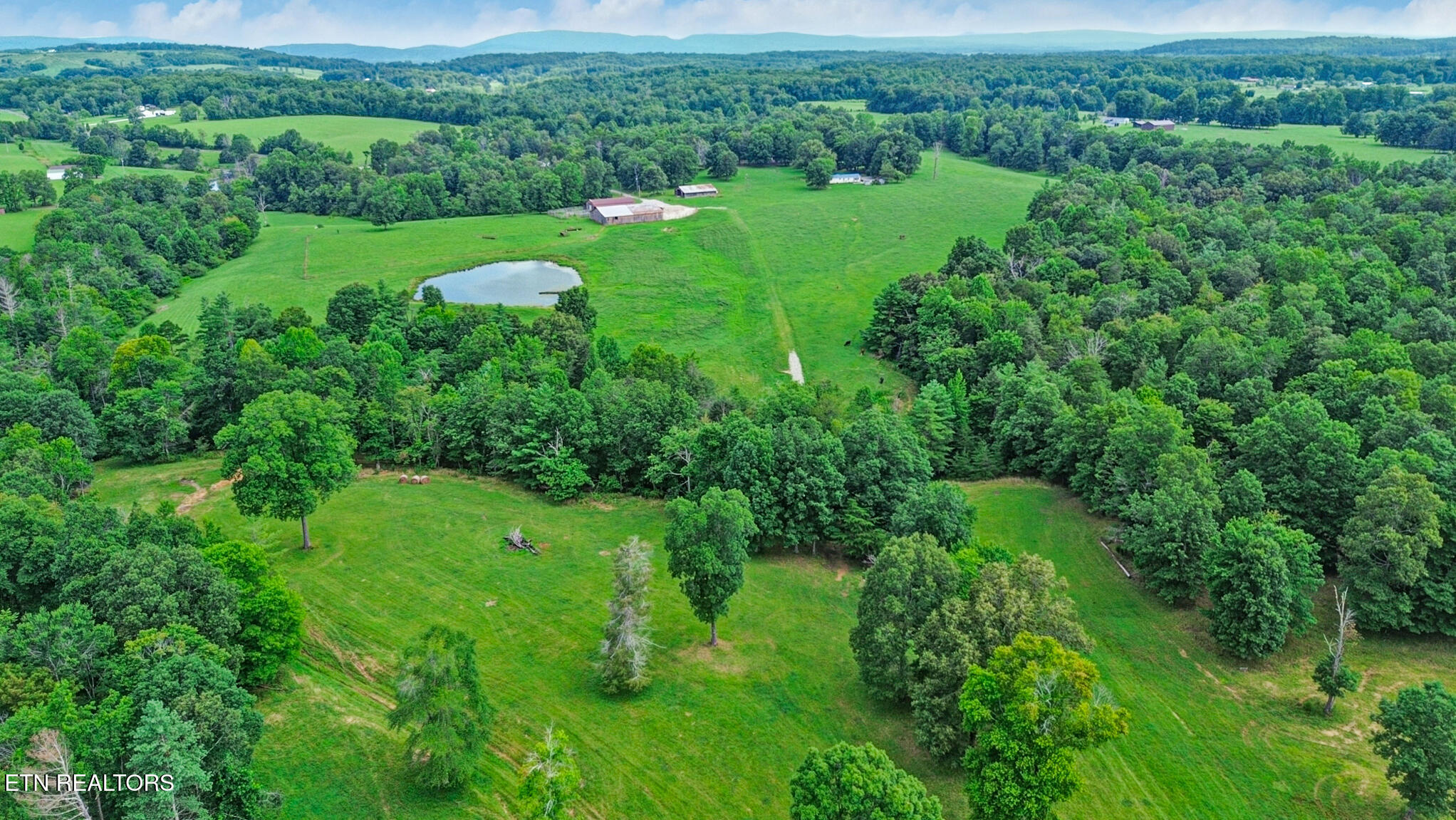 1041 Walt Reed Road Grandview TN 37337