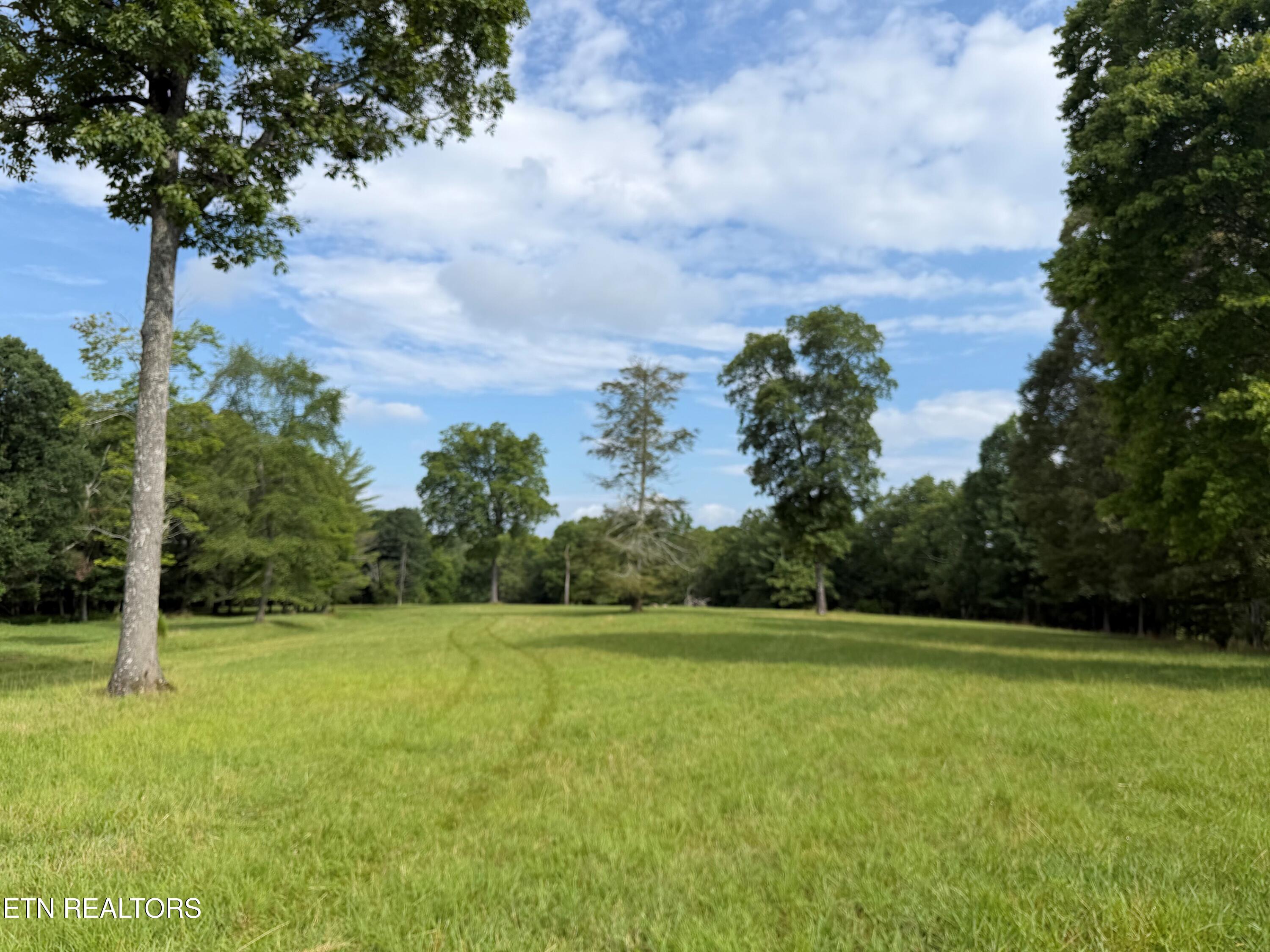 1041 Walt Reed Road Grandview TN 37337