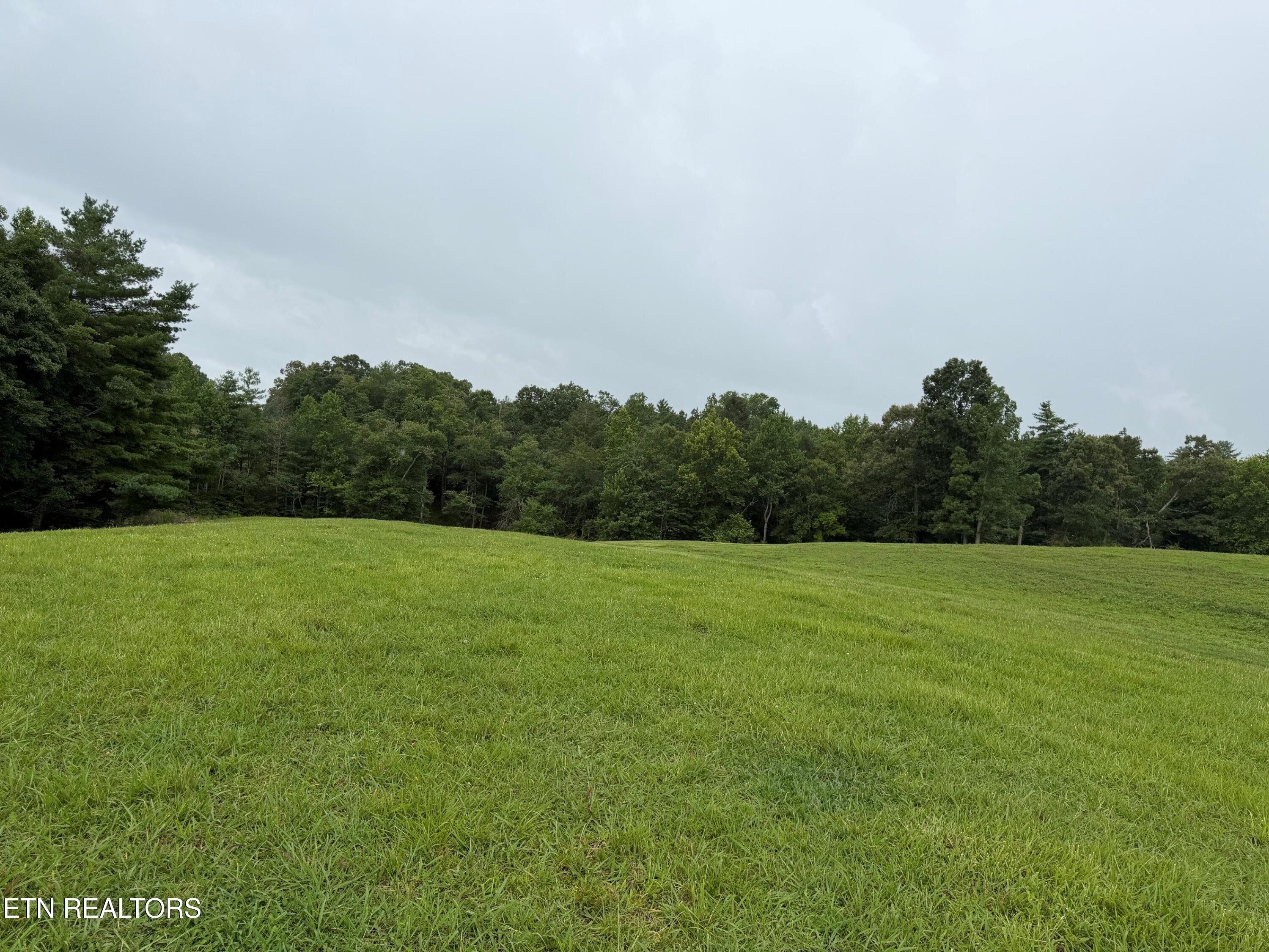 1041 Walt Reed Road Grandview TN 37337
