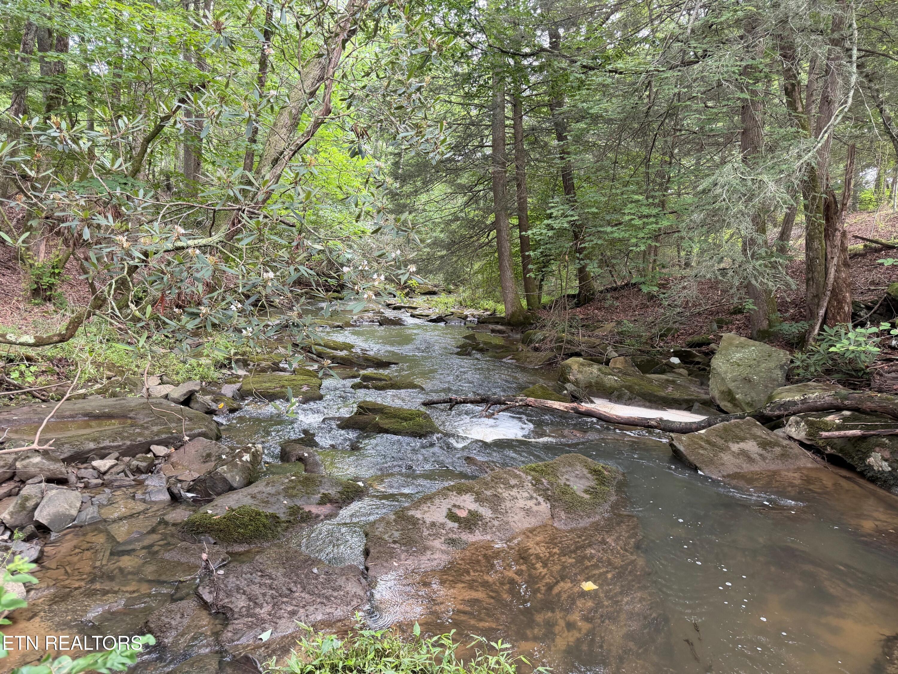1041 Walt Reed Road Grandview TN 37337