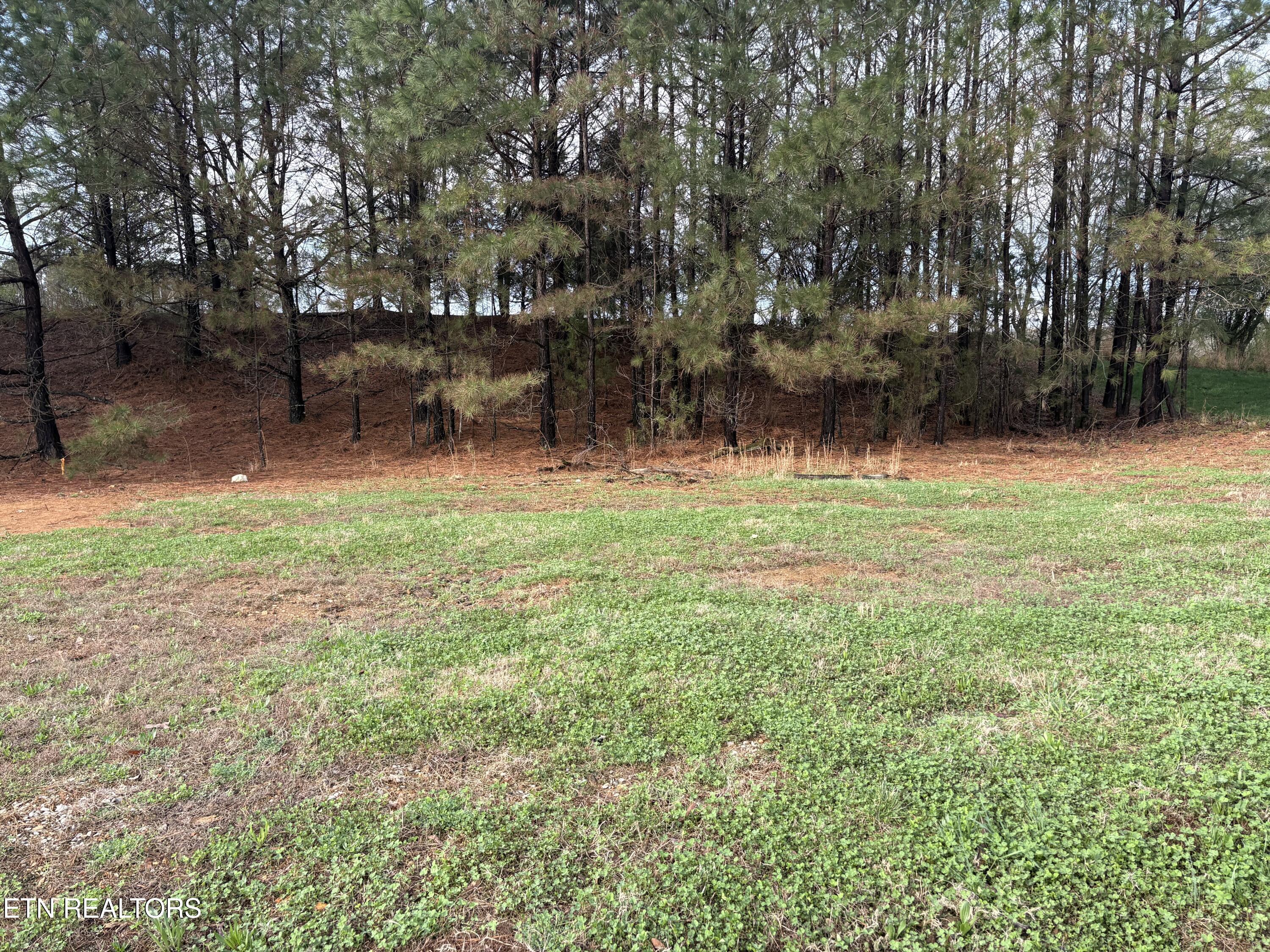 1565 Bobcat Run Drive Loudon TN 37774