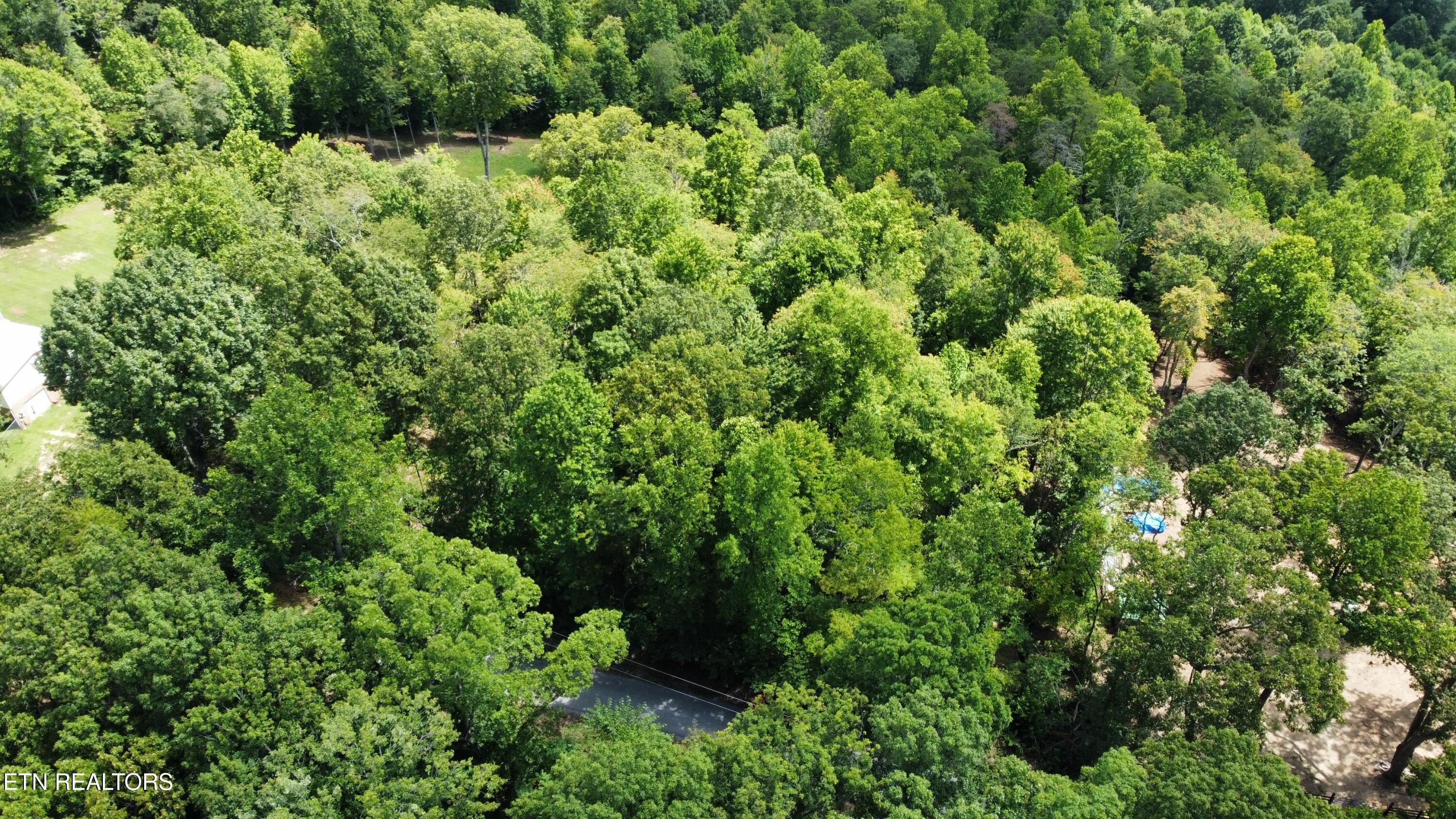Lots 5&6 Clint Williams Road Rutledge TN 37861