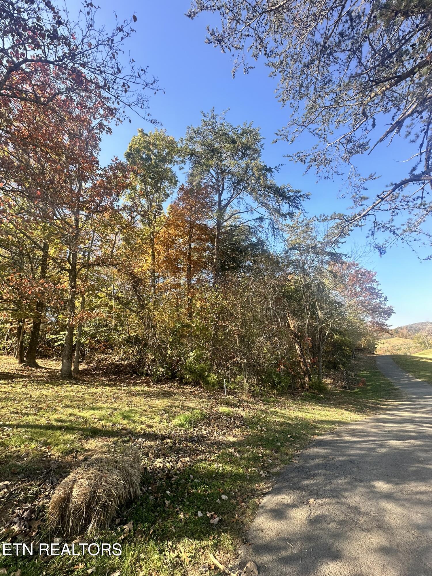 Wedge Way Tazewell TN 37879