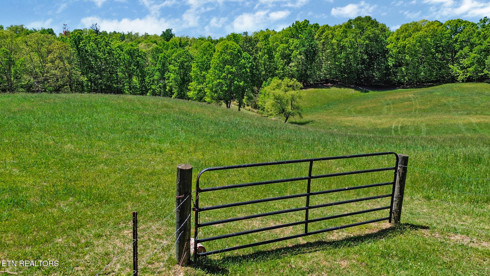 Panther Branch Road Jamestown TN 38556