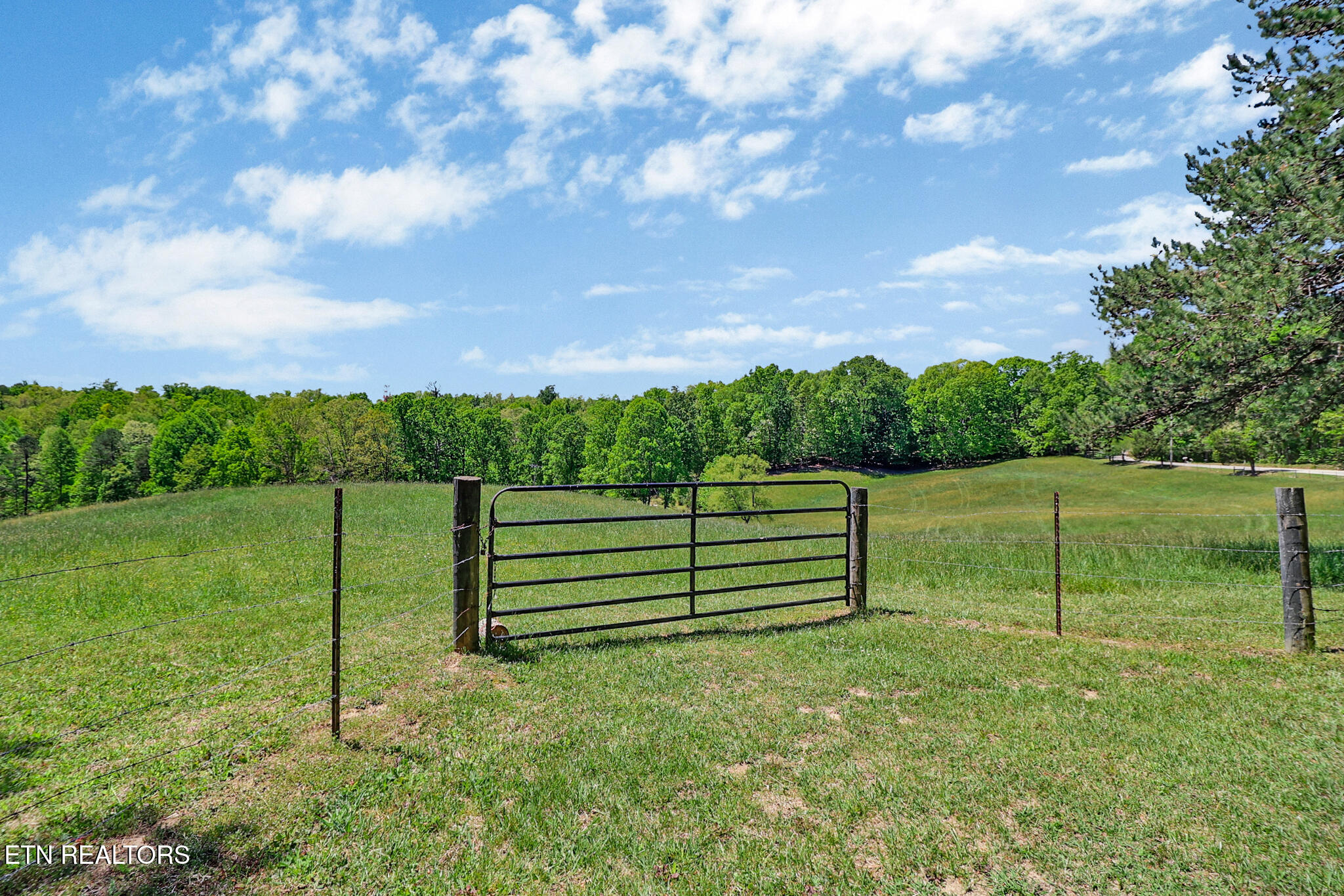 Panther Branch Road Jamestown TN 38556