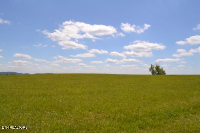 Lot 61c Walleye Road Hilham TN 38568