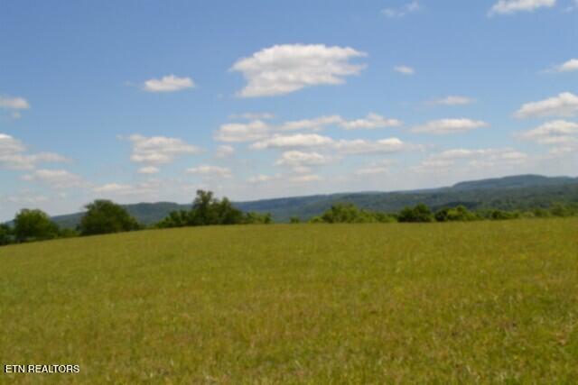 Lot 61c Walleye Road Hilham TN 38568