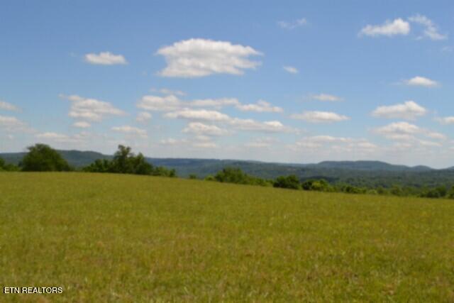 Lot 61c Walleye Road Hilham TN 38568