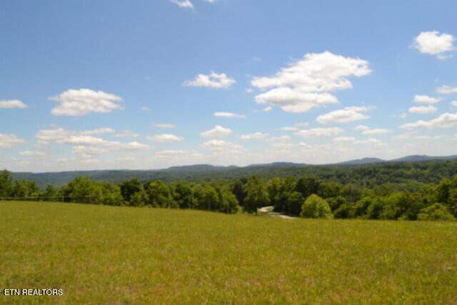 Lot 61c Walleye Road Hilham TN 38568