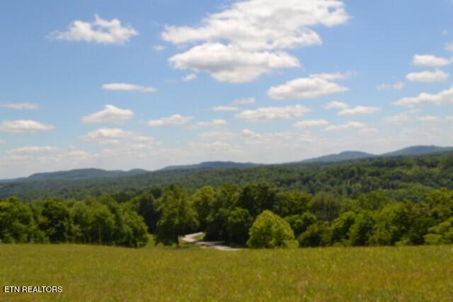Lot 61c Walleye Road Hilham TN 38568