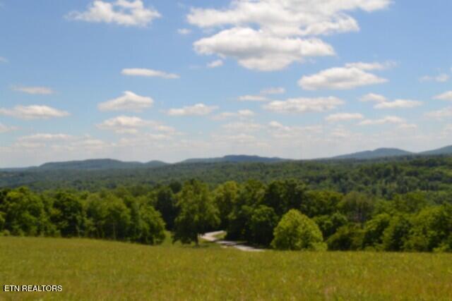 Lot 61c Walleye Road Hilham TN 38568