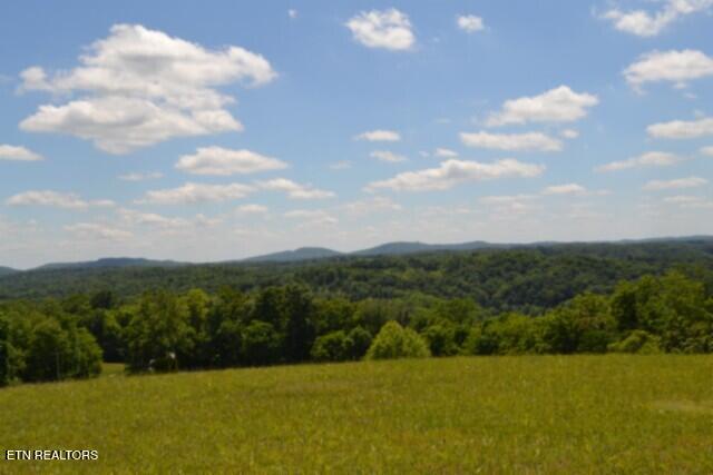 Lot 61c Walleye Road Hilham TN 38568