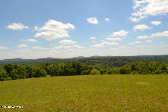 Lot 61c Walleye Road Hilham TN 38568