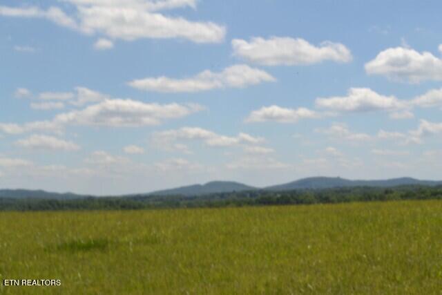 Lot 61c Walleye Road Hilham TN 38568