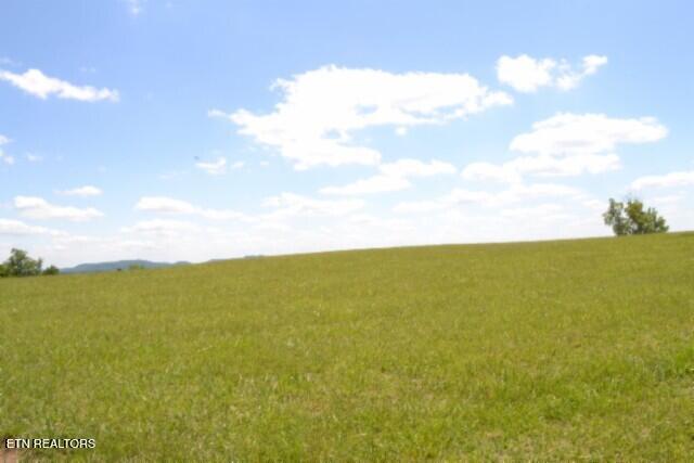 Lot 61c Walleye Road Hilham TN 38568